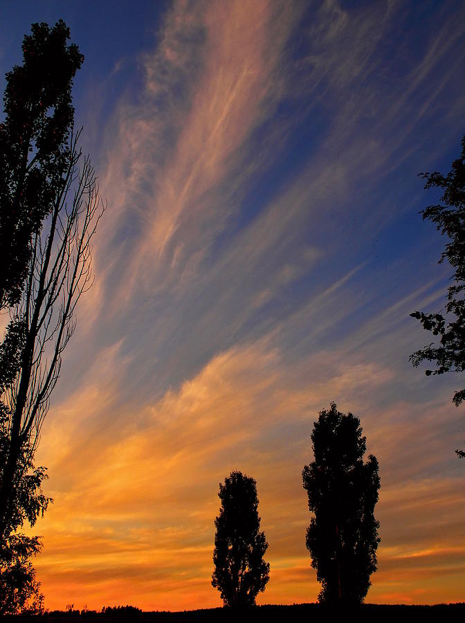 Sunset Photograph - Sunset #20 by Pavel Jankasek