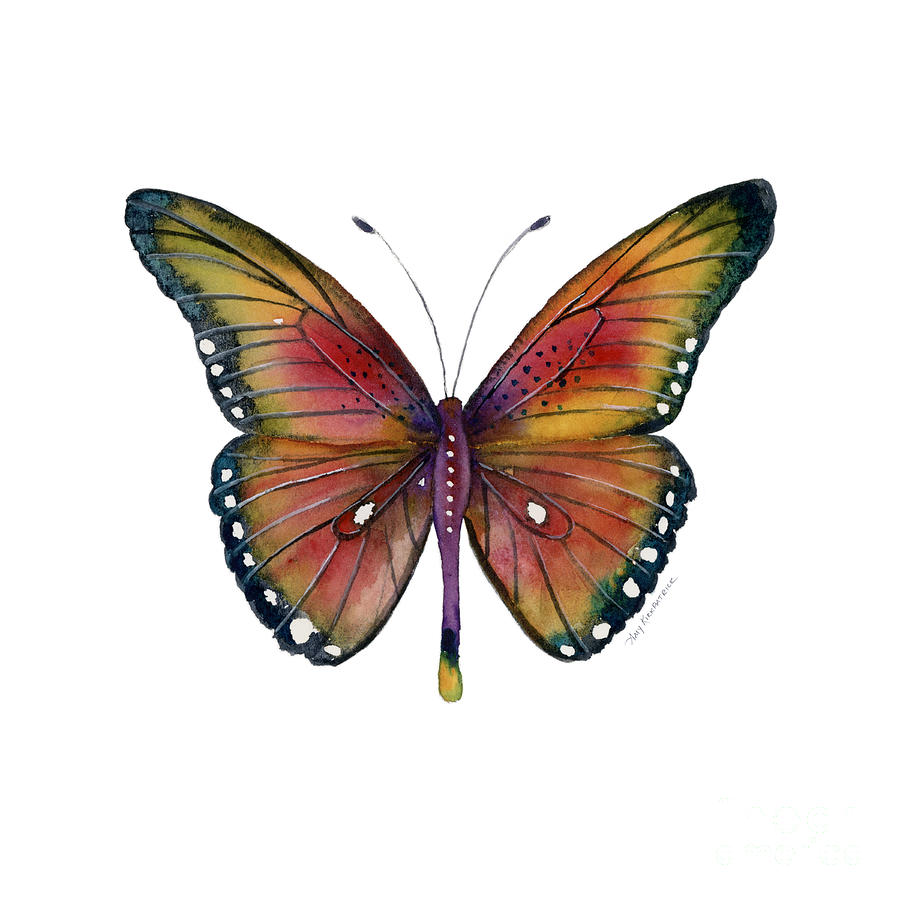 66 Spotted Wing Butterfly Painting by Amy Kirkpatrick