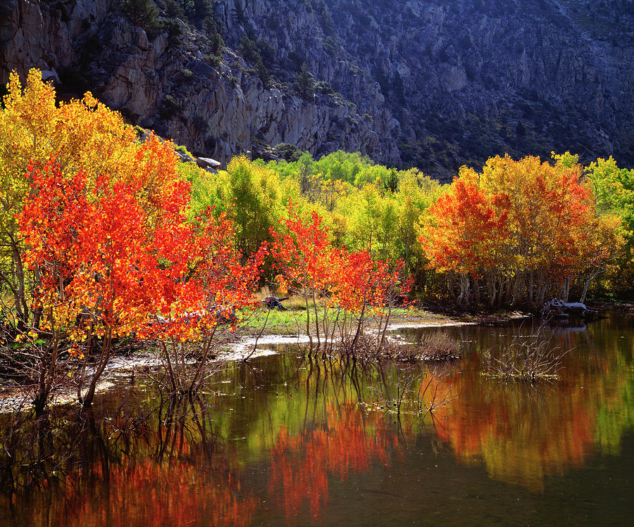 Fall Photograph - USA, California, Sierra Nevada Mountains #66 by Jaynes Gallery