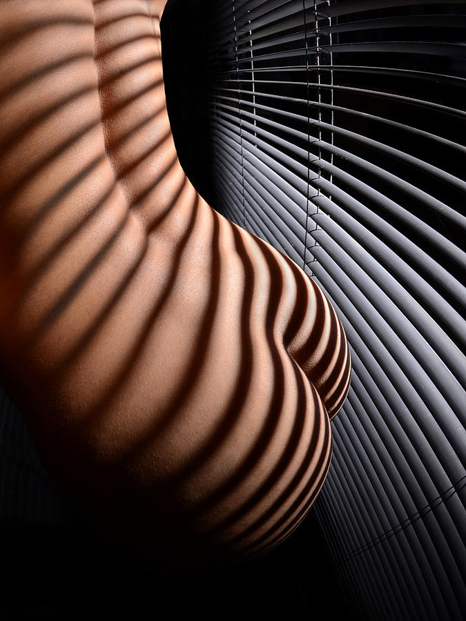 6606 Striped Nude with Blinds  Photograph by Chris Maher