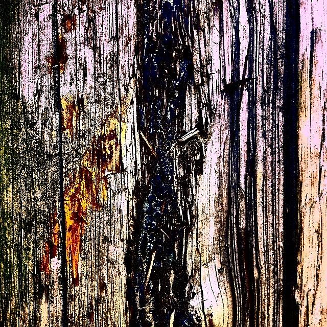 Abstract Photograph - Wooden Post 2 by Jason Roust