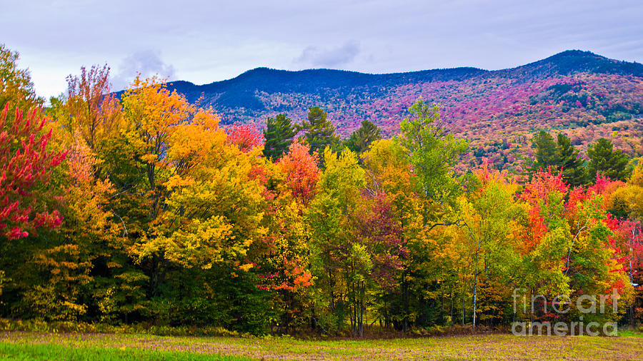 New England Foliage. #6 Photograph by New England Photography