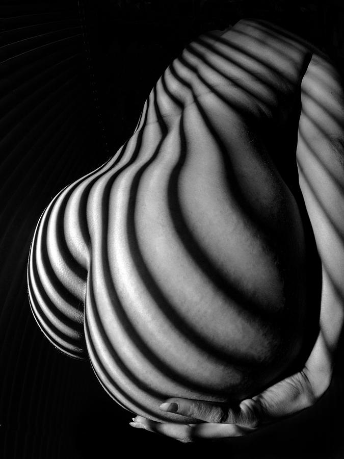 6777 Black White Nude Womans Curves Striped with Sunlight  Photograph by Chris Maher