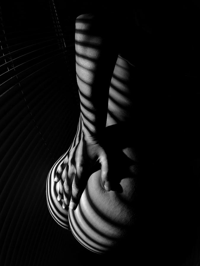 6778 Zebra Woman Nude Stripe Series   Photograph by Chris Maher