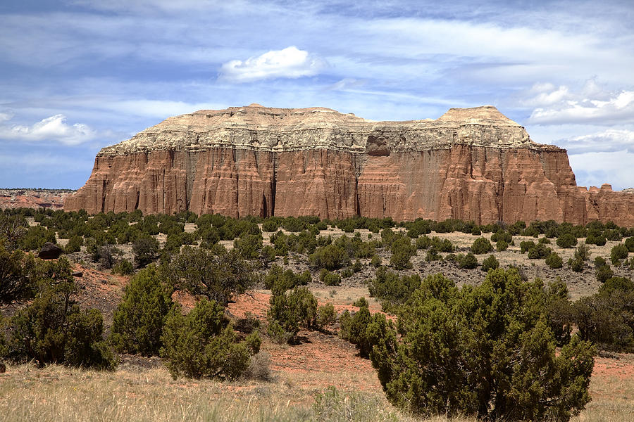 Capitol Reef National Park #683 Photograph by Mark Smith