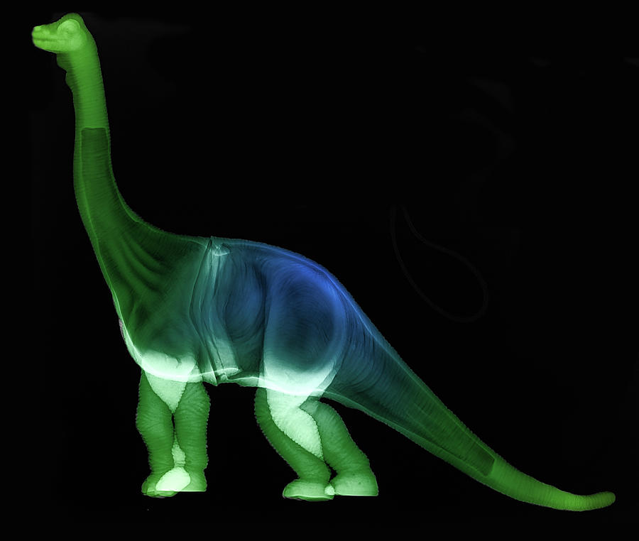 Toy Dinosaur X-ray Photograph by Teresa Zgoda