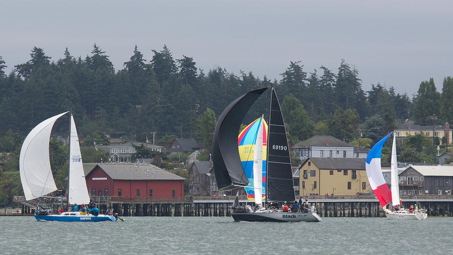 Seattle Photograph - Whidbey Island Race Week #21 by Steven Lapkin