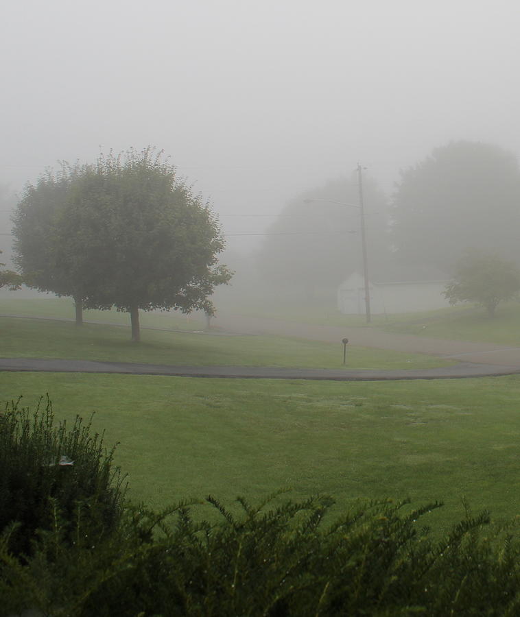 7 A M Fog Photograph by Kume Bryant