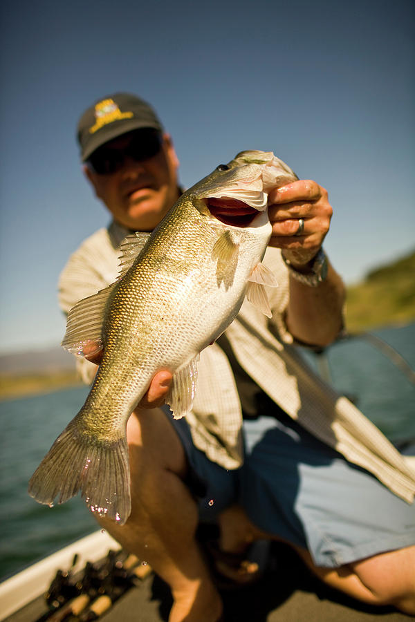 Fish Photograph - A Man Holds Up His Catch Proudly #7 by Jay Reilly