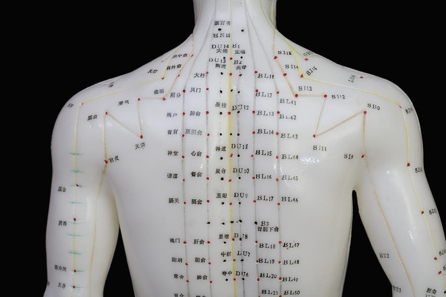 Acupuncture Points #7 Photograph by Science Stock Photography