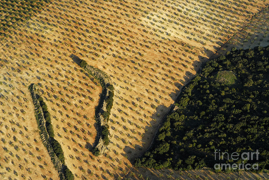 Landscape Photograph - Aerial Geometries #7 by Guido Montanes Castillo