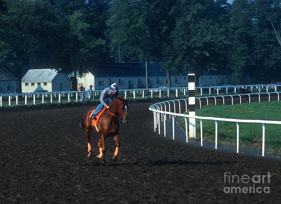 Affirmed #8 Photograph by Marc Bittan