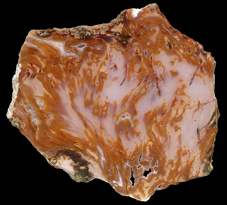 Pattern Photograph - Agate #7 by Natural History Museum, London/science Photo Library