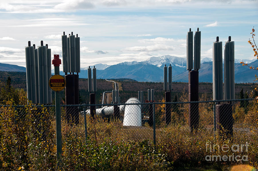 Alaska Oil Pipeline #7 Photograph by Mark Newman