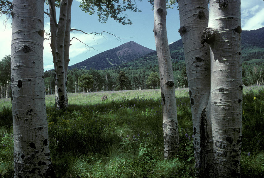 Mountain Photograph - Arizona #7 by Scott Warren