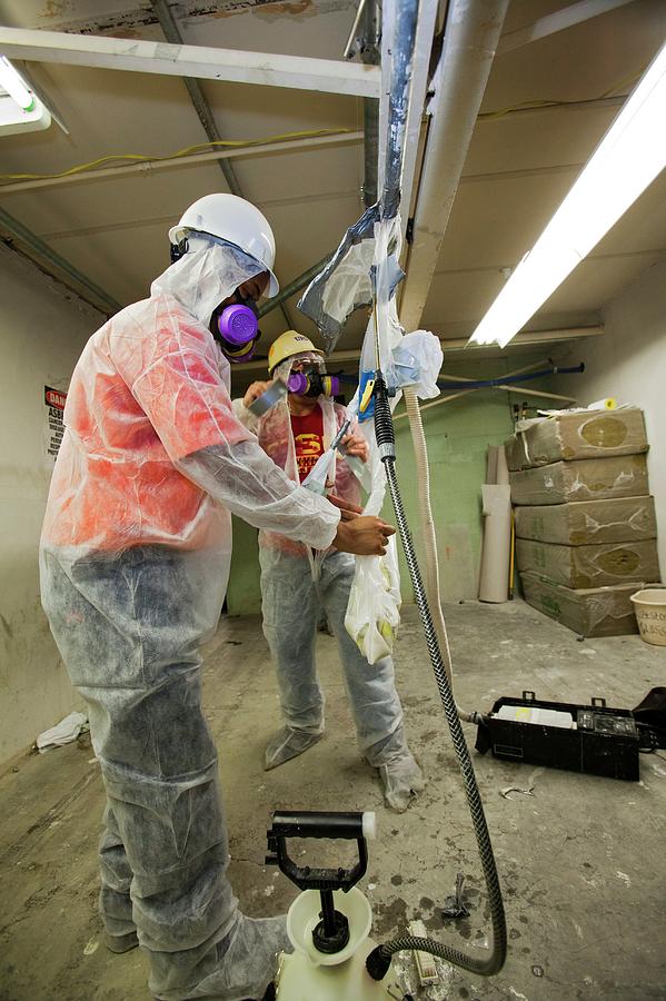 Trainee asbestos surveyor jobs north west