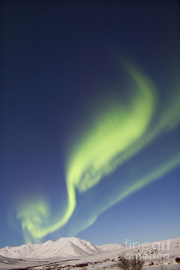 Aurora Borealis With Moonlight #7 Photograph by Joseph Bradley