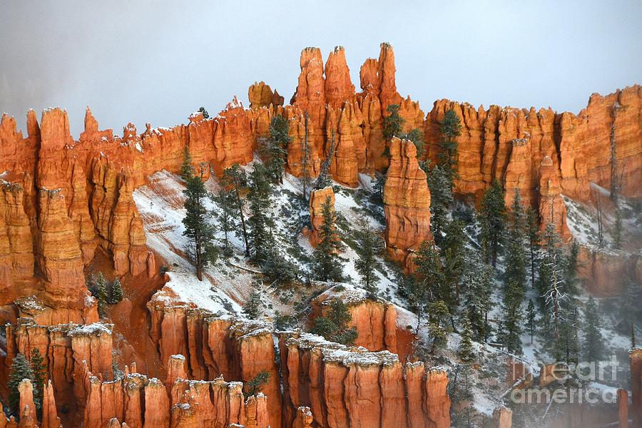 Bryce Canyon #7 Photograph by Marc Bittan