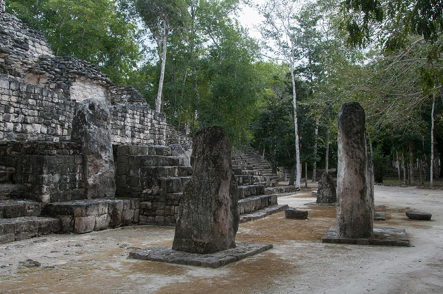 Calakmul Mayan Ruins #7 Digital Art by Carol Ailles