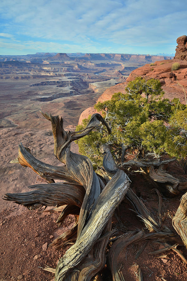 Canyonlands #17 Photograph by Ray Mathis