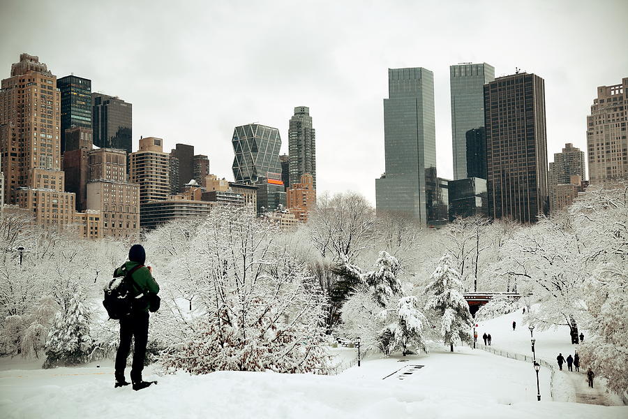 Central Park winter #7 Photograph by Songquan Deng