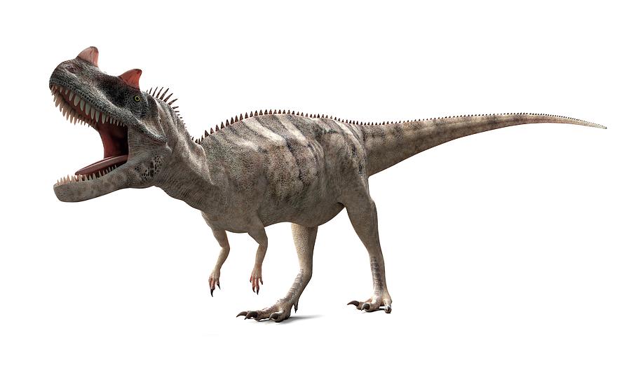 accurate ceratosaurus