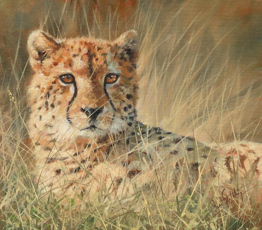 Cheetah #7 Painting by David Stribbling