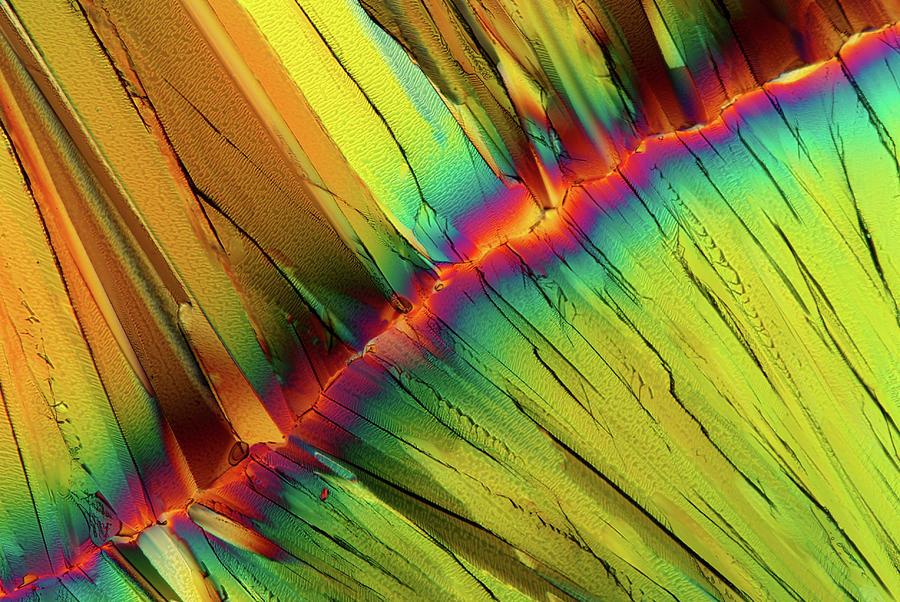 Citric Acid Crystals #7 Photograph by Marek Mis