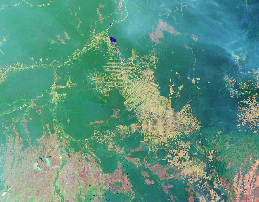 Deforestation In The Amazon Photograph by Nasa Earth Observatory - Fine ...