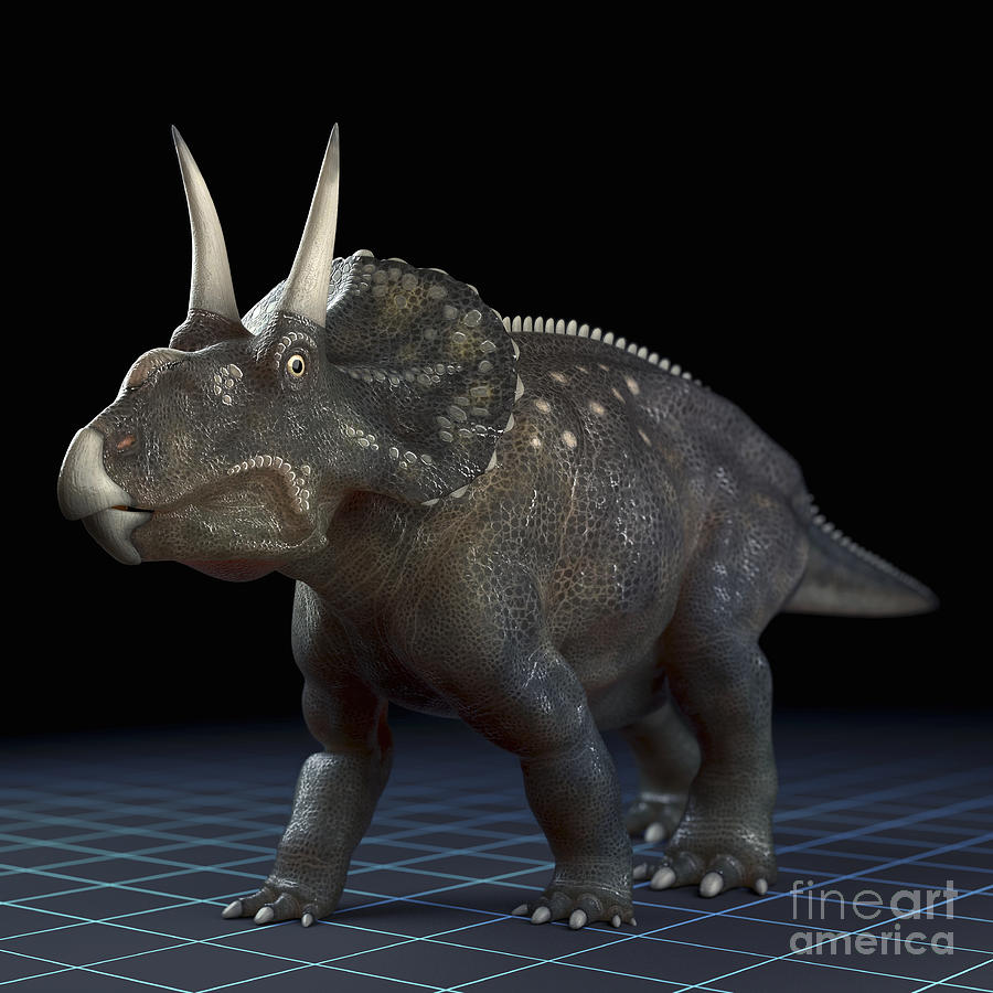 Dinosaur Diceratops #7 Photograph by Science Picture Co