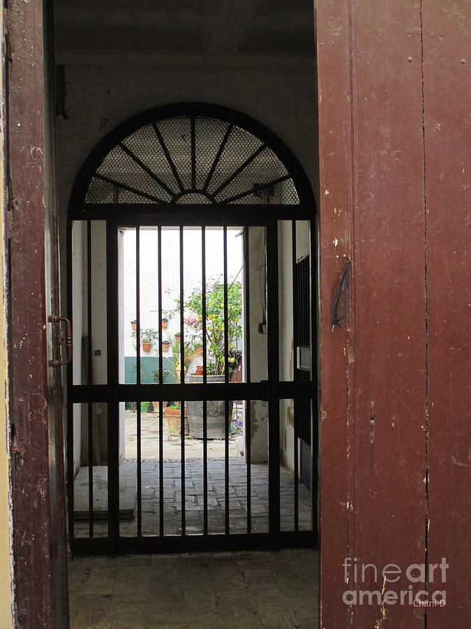 Door in Jerez #1 Photograph by Chani Demuijlder