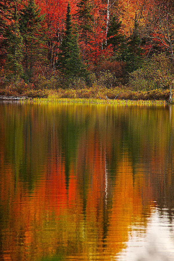 Fall Reflections #7 Photograph by Prince Andre Faubert