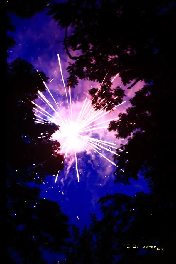 Fireworks Forest #7 Photograph by R B Harper