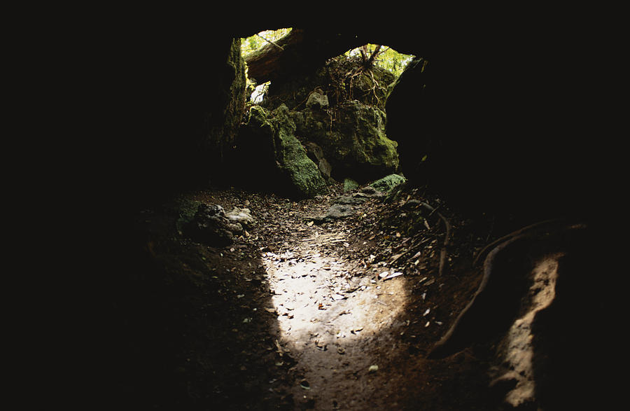 Florida Caverns State Park #7 Photograph by Millard H. Sharp
