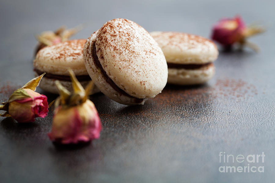 Cake Photograph - French macaroons #7 by Kati Finell