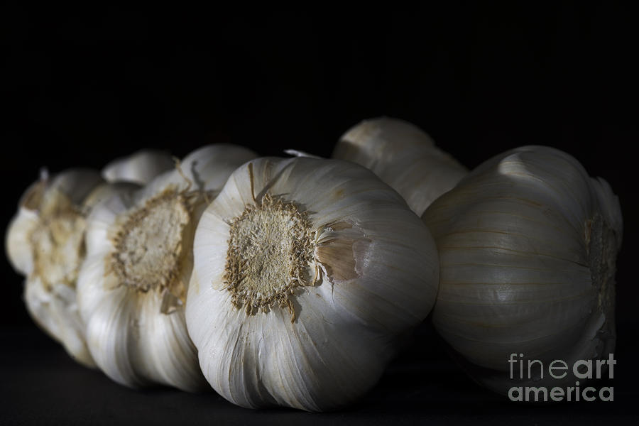 Vegetable Photograph - Garlic #7 by Mats Silvan