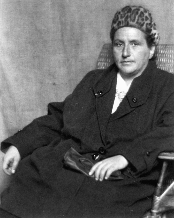 Gertrude Stein Photograph by Granger