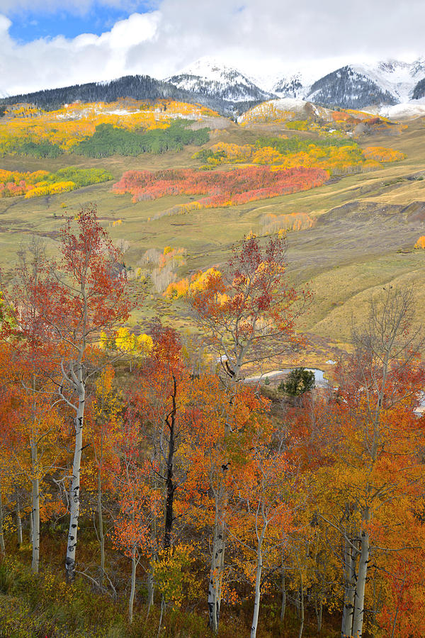 Gothic Road Fall Colors Photograph by Ray Mathis - Fine Art America