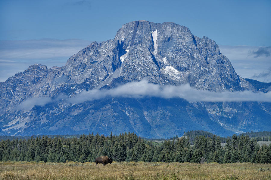 Grand Teton National Park, Wy #7 Photograph by Mark Newman
