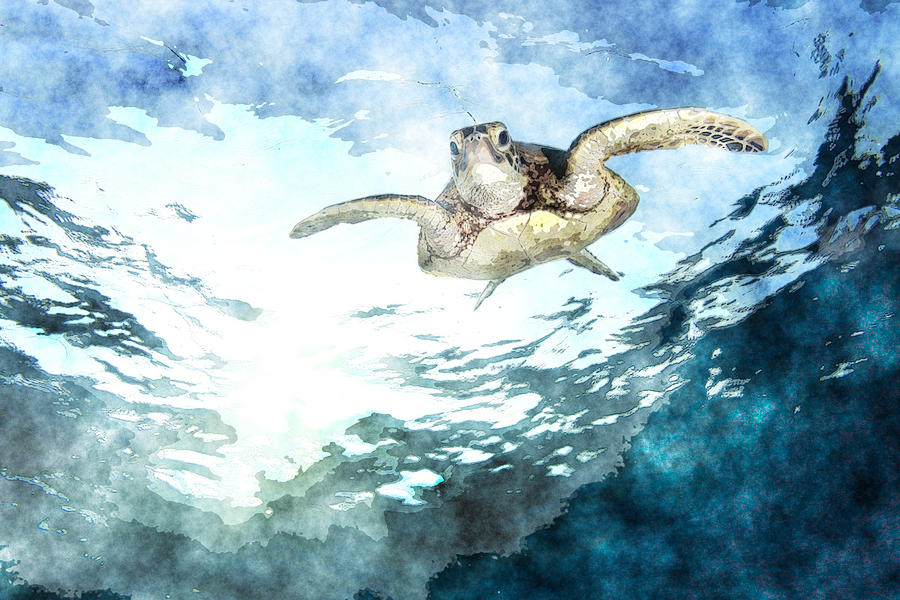 Green Turtle Painting by MotionAge Designs