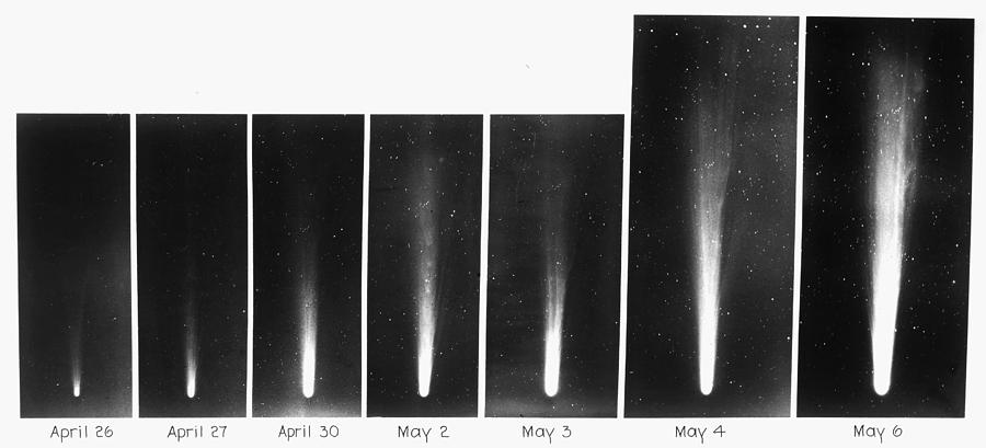 Halley's Comet, 1910 Photograph By Granger - Pixels