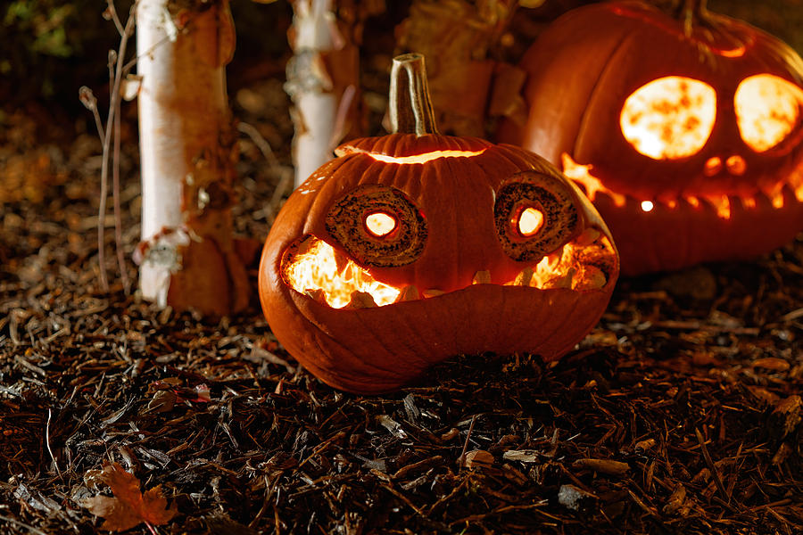 Fall Photograph - Halloween Pumpkin #7 by Peter Lakomy