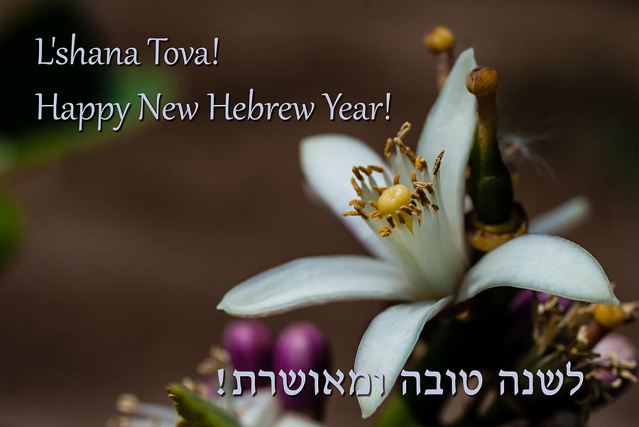Hebrew New Year 2025 Herbert L Schmitt