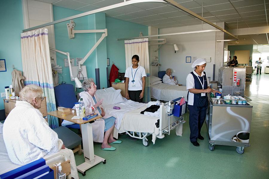 Hospital Ward #7 Photograph by Science Photo Library Fine Art America Hospital Ward #7 Photograph by Science Photo Library Fine Art America