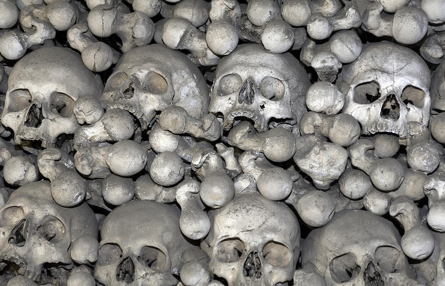 Halloween Photograph - Human bones. #7 by Fernando Barozza