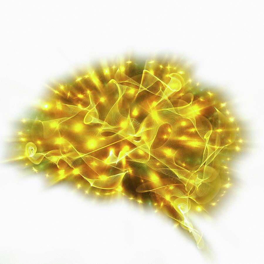 Human Brain Photograph By Mehau Kulyk Science Photo Library Pixels