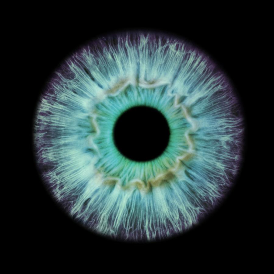 Human eye Photograph by Science Photo Library - Fine Art America