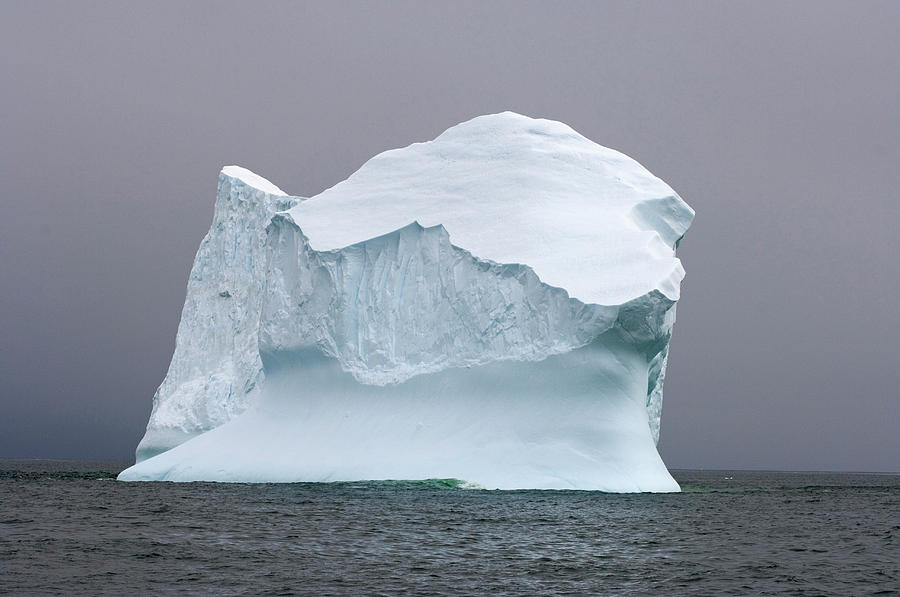 Iceberg Floating Off The Western Photograph by Steven J. Kazlowski ...