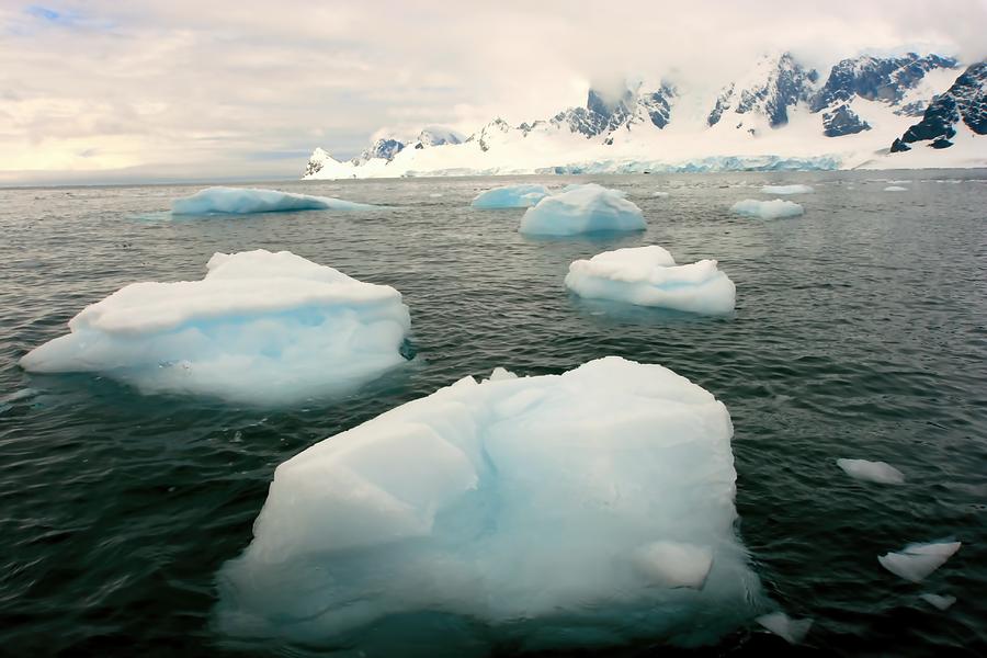 Icebergs #7 Photograph by Amanda Stadther