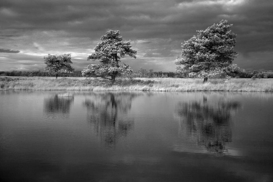 Infrared picture of the nature area Dwingelderveld in Netherlands ...